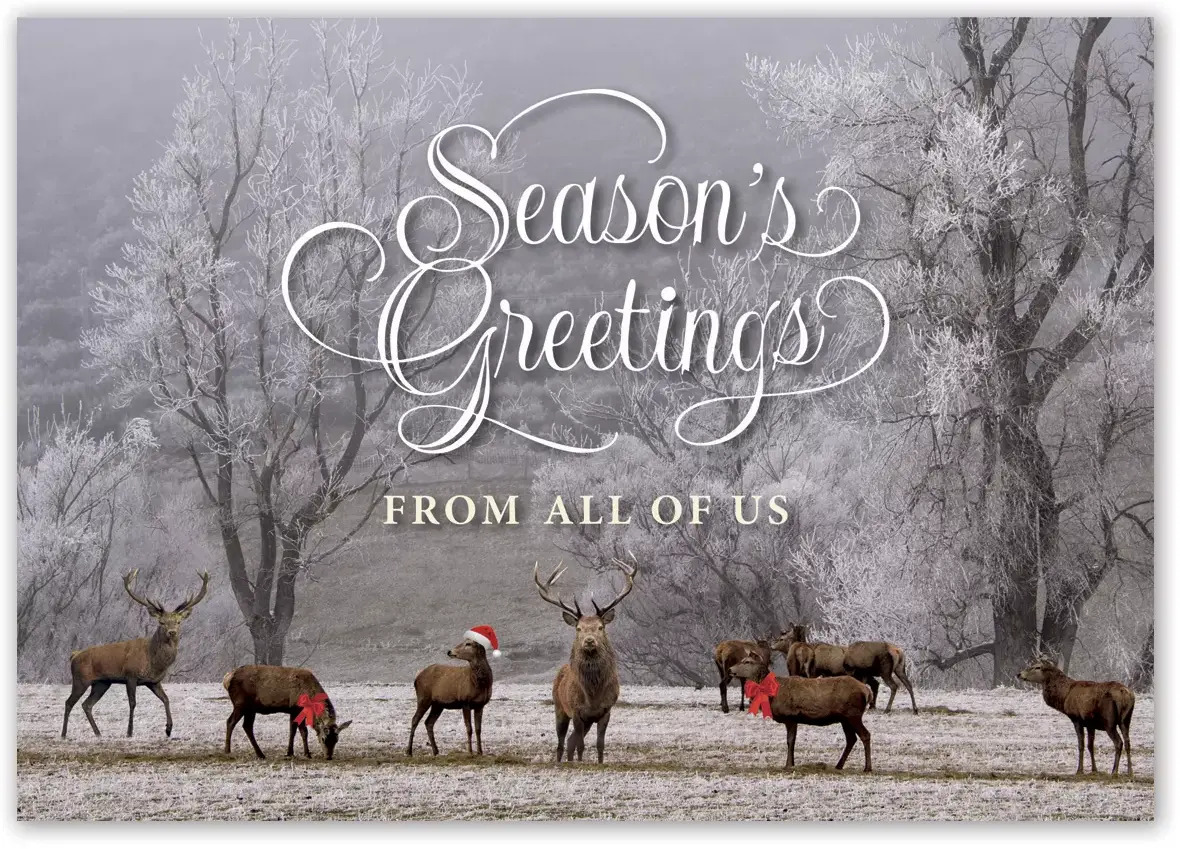 Holiday Card with 8 Deer in Forest