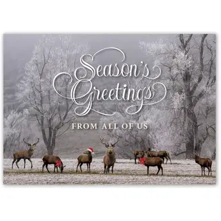 Holiday Card with 8 Deer in Forest
