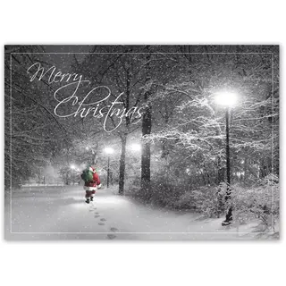 HP15311, Special Delivery Christmas Cards