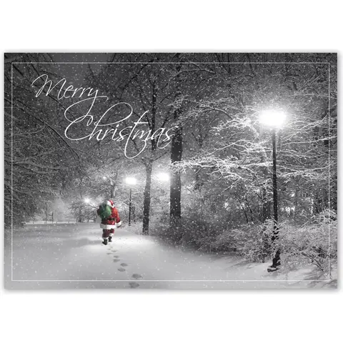 HP15311, Special Delivery Christmas Cards