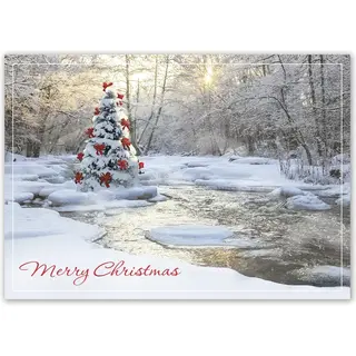 Hoilday Card-Tranquil Christmas