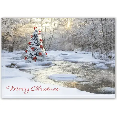 Hoilday Card-Tranquil Christmas