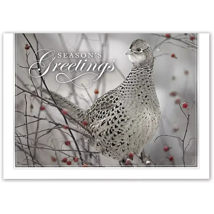 Holiday Card- Feathered Friend
