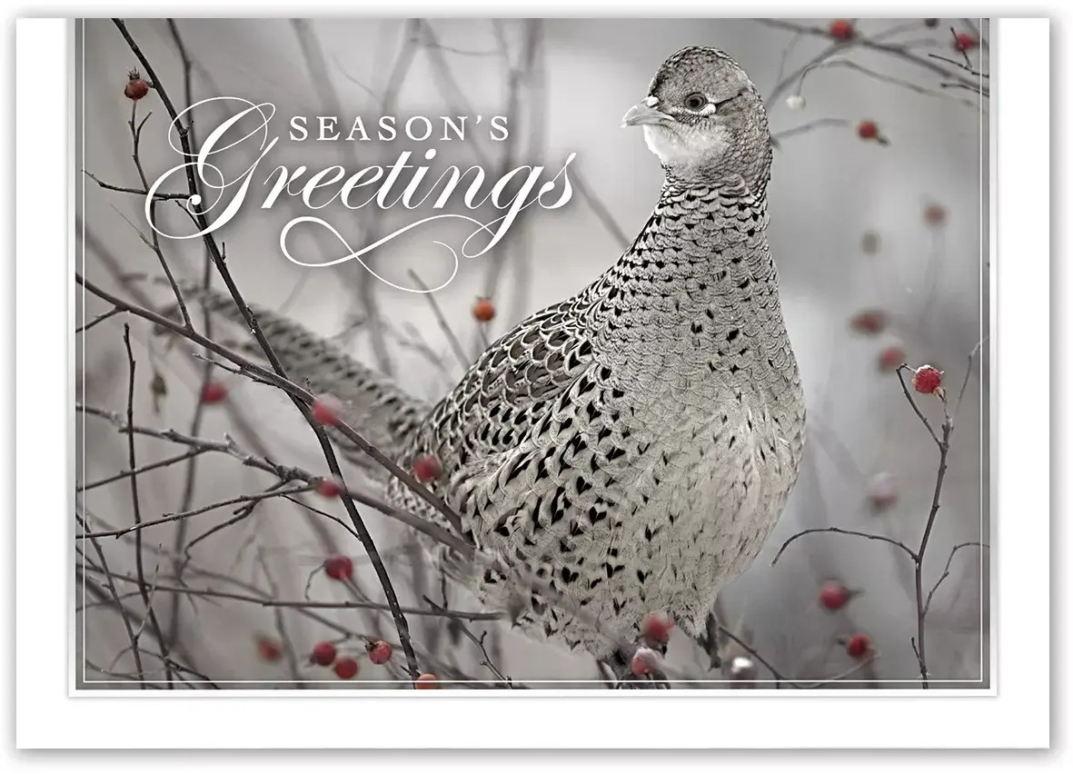 Holiday Card- Feathered Friend