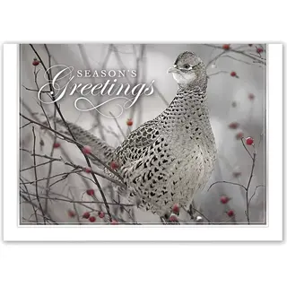 Holiday Card- Feathered Friend