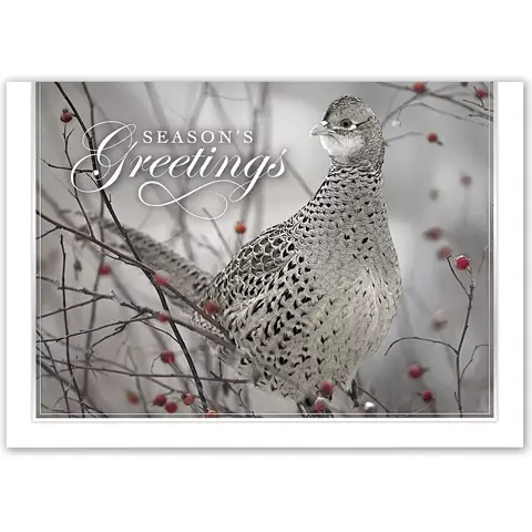 Holiday Card- Feathered Friend