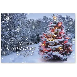 Single Lit Christmas Tree Postcards