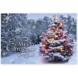 Single Lit Christmas Tree Postcards