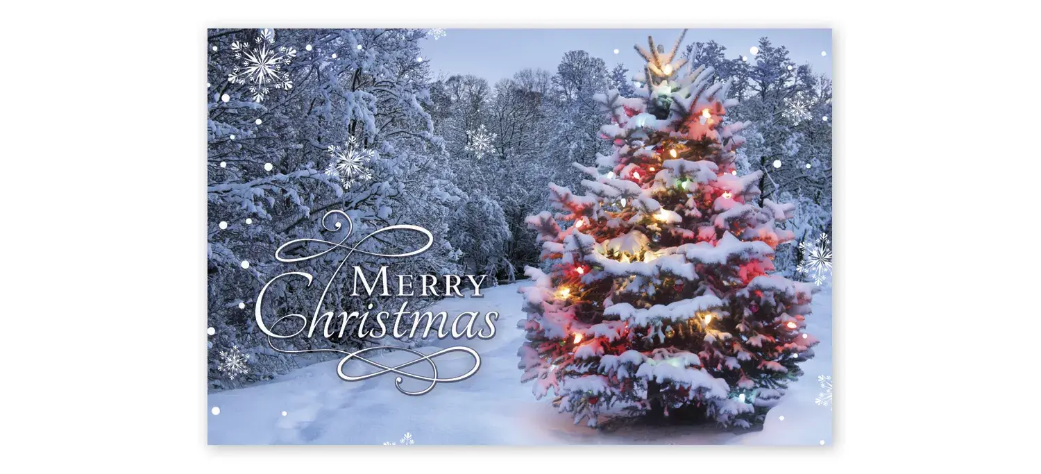 Single Lit Christmas Tree Postcards