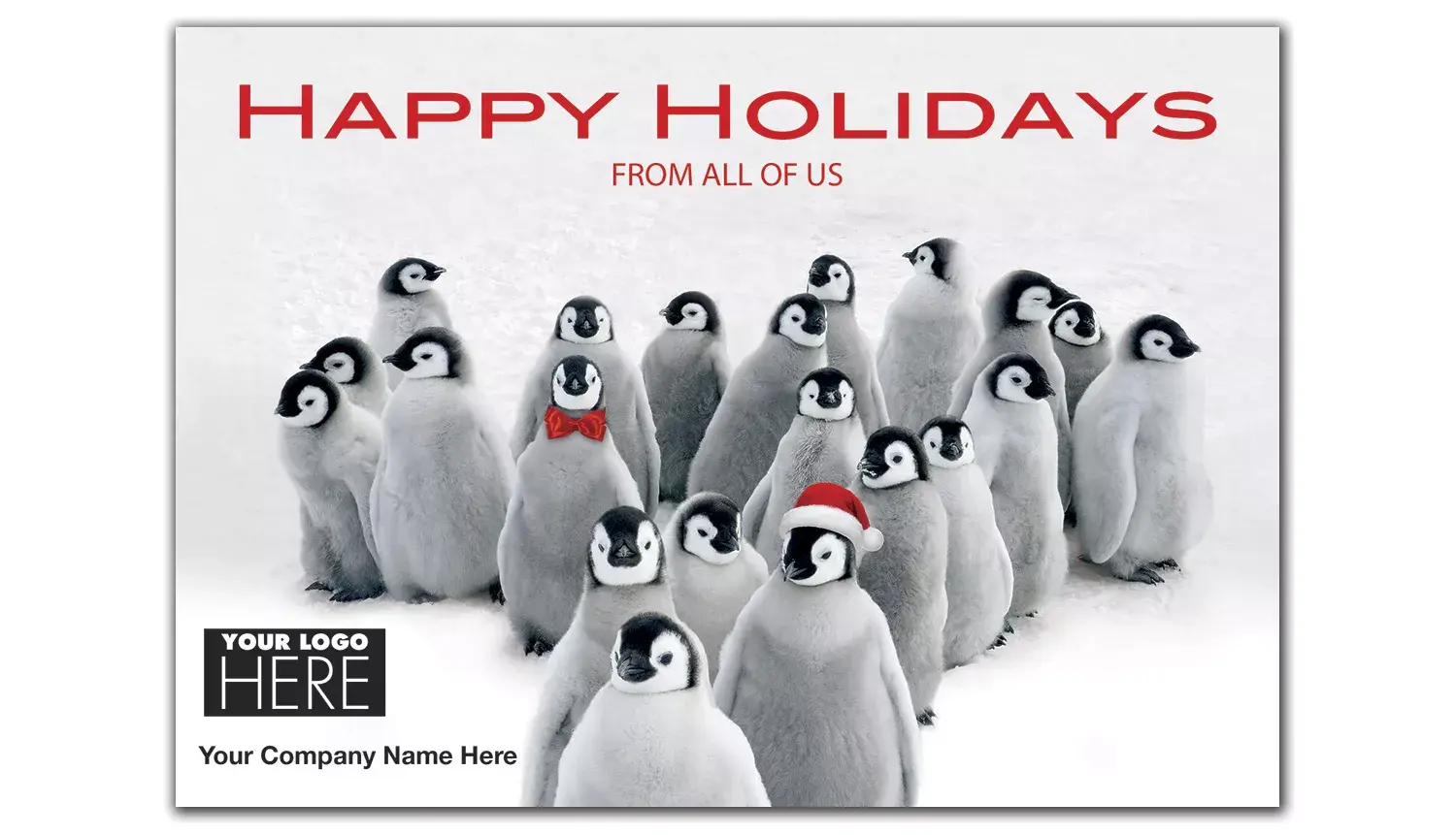 MT15019, Penguin Parade Holiday Logo Cards