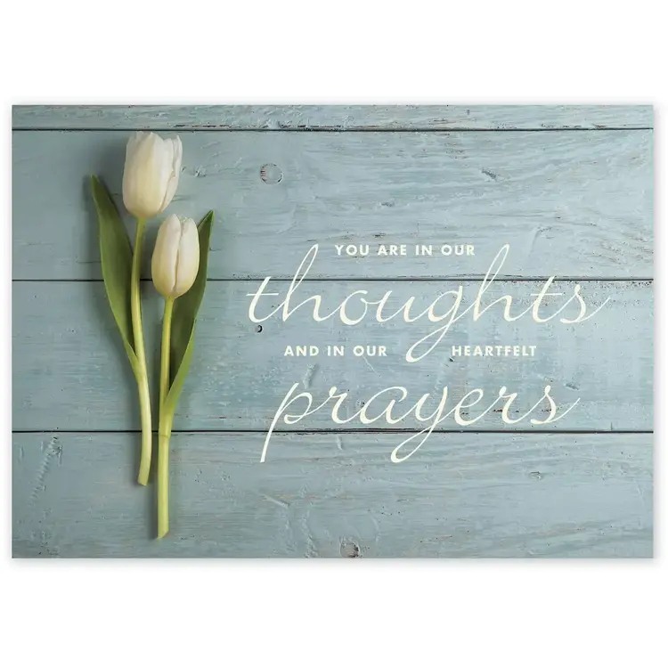 Heartfelt Thoughts Sympathy Cards