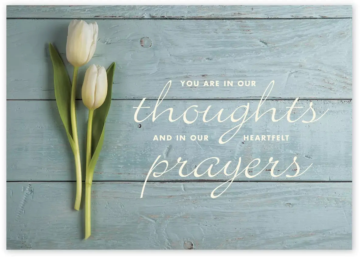 Heartfelt Thoughts Sympathy Cards