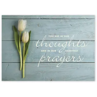 Heartfelt Thoughts Sympathy Cards
