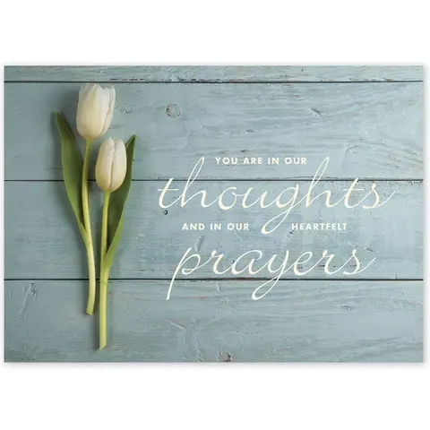 Heartfelt Thoughts Sympathy Cards