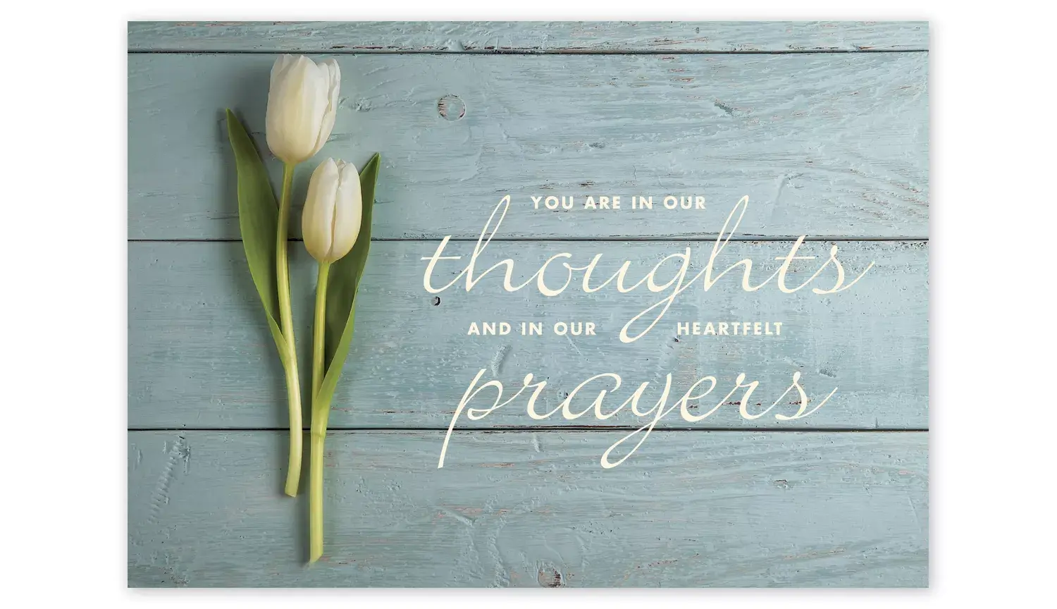 Heartfelt Thoughts Sympathy Cards