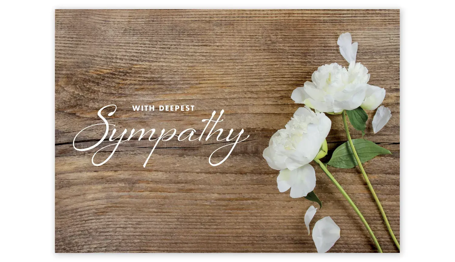 Peonies Sympathy Card