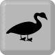Logo # S8041