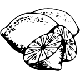 Logo # S5664