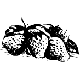 Logo # S5660