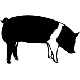 Logo # S5556