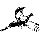 Logo # S5570
