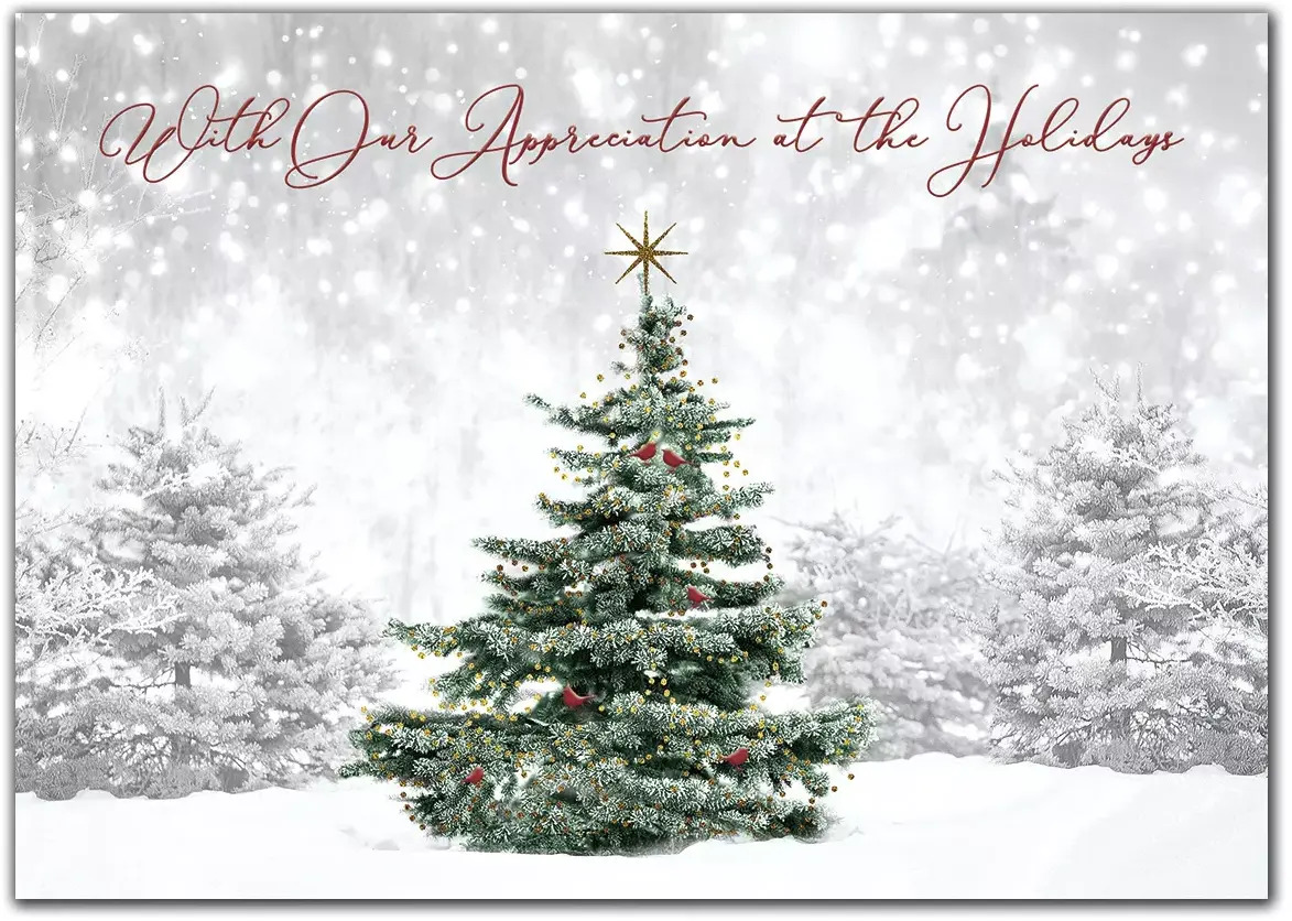 Custom holiday cards with single green tree in snowy forest