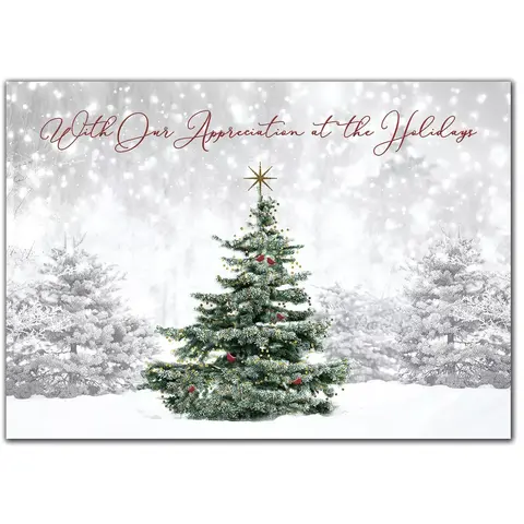 Custom holiday cards with single green tree in snowy forest