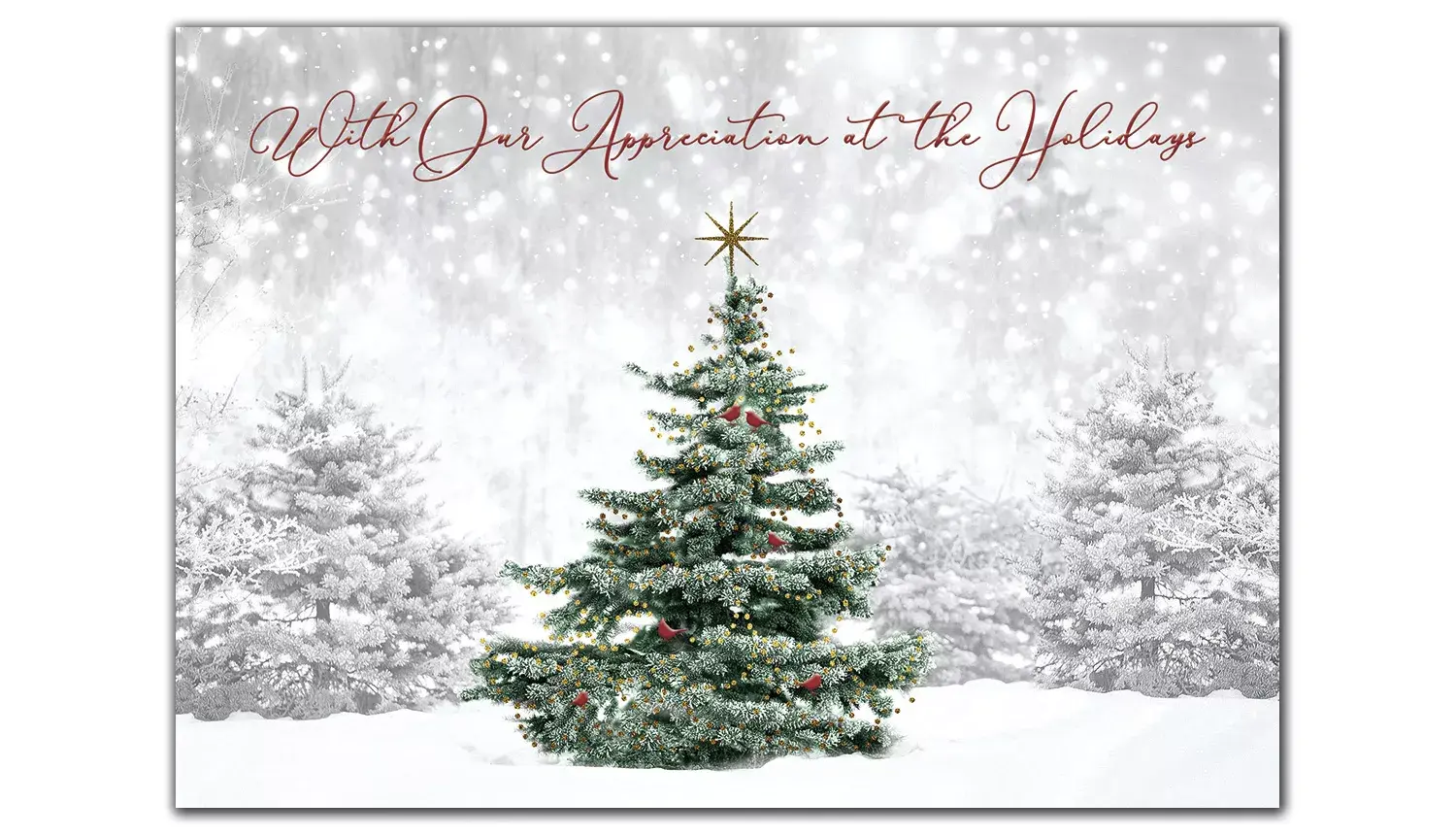 Custom holiday cards with single green tree in snowy forest