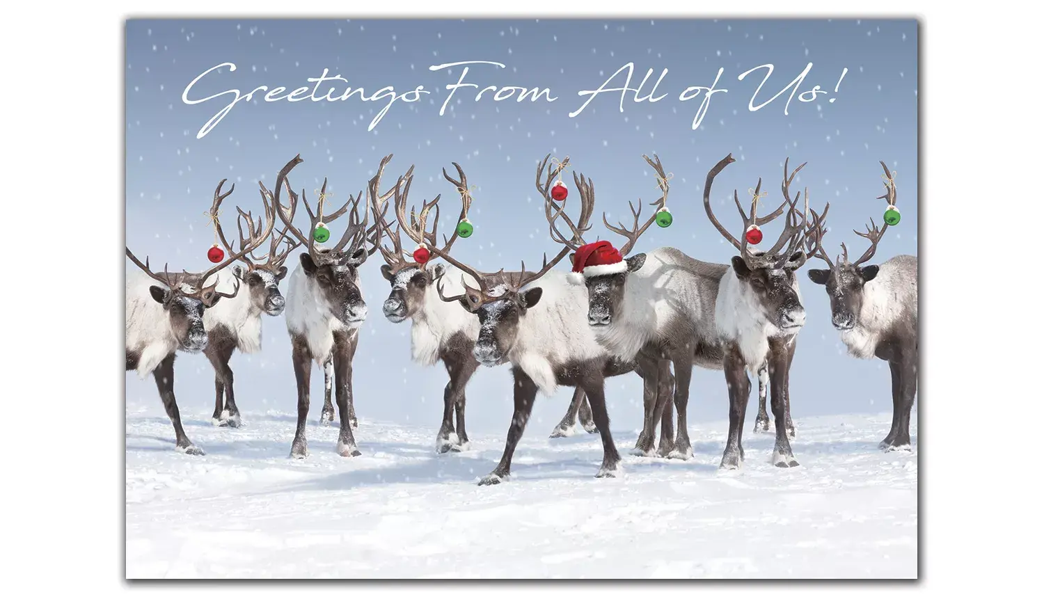 Custom printed greeting cards with reindeer ready for the holidays.