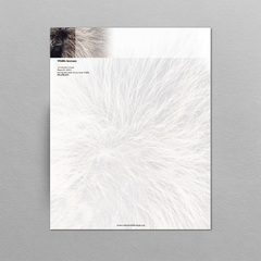 Custom printed business stationery on premium paper