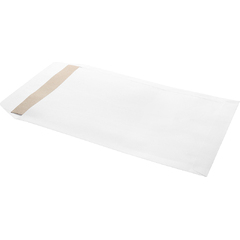 W2 tax envelopes for CPA firms
