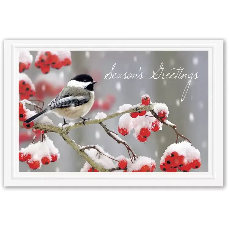 Tweet Greetings Holiday Postcards Featuring Cute Bird on Branch with Berries