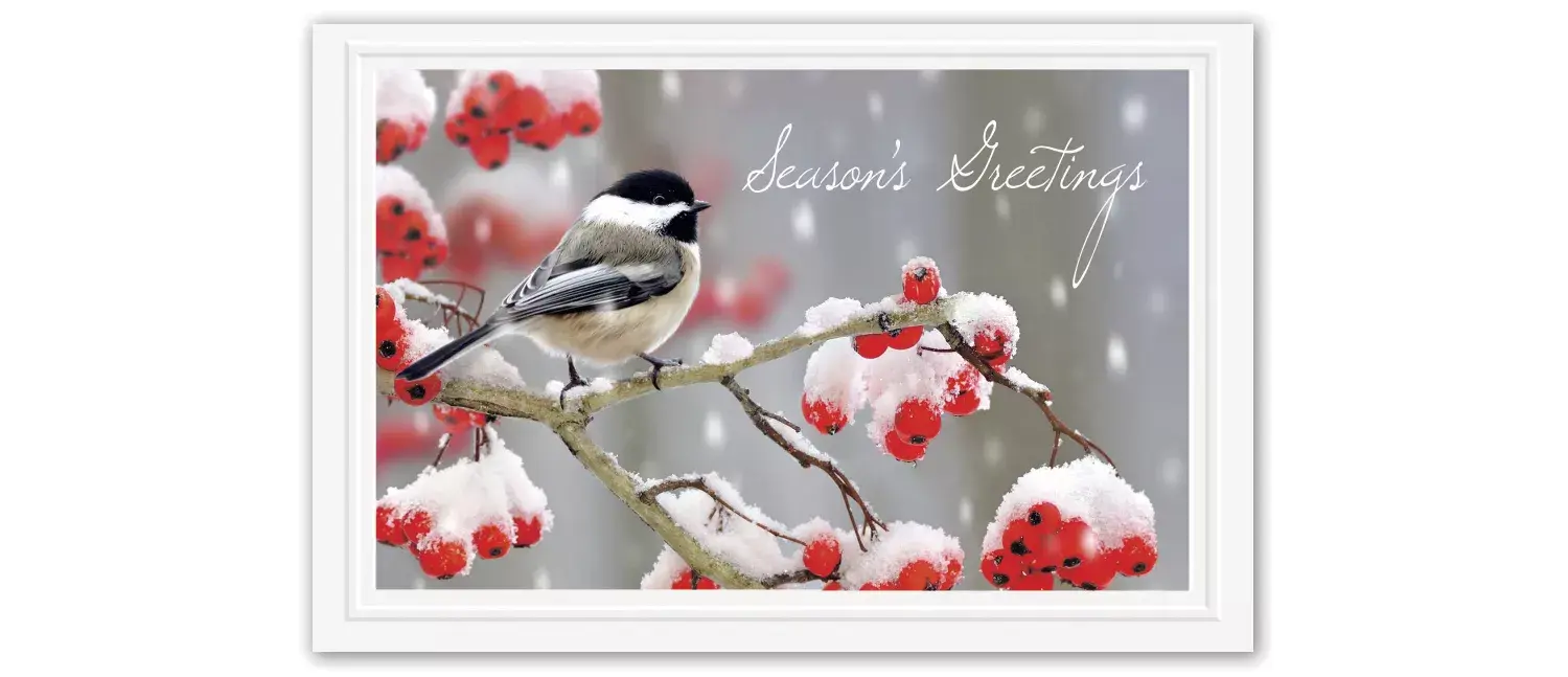 Tweet Greetings Holiday Postcards Featuring Cute Bird on Branch with Berries