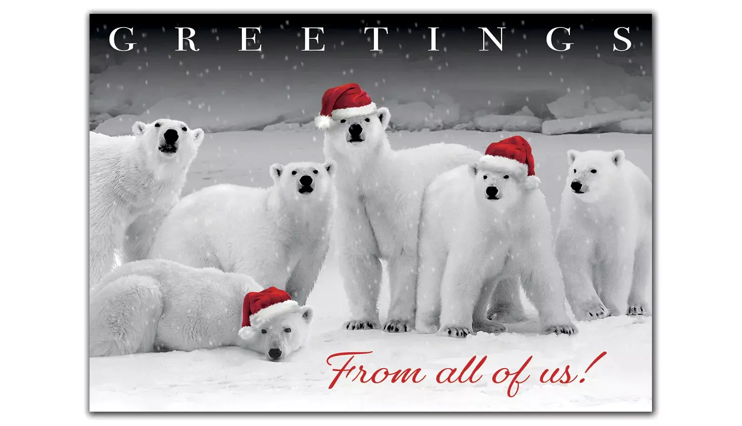 Custom Business Holiday Cards with Six Polar Bears and Santa Hats