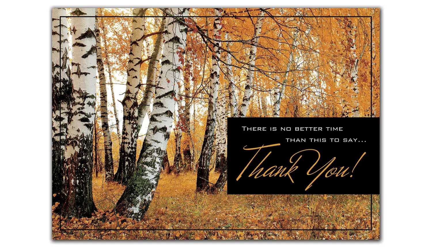 Custom Business Thanksgiving Cards with Fall Theme