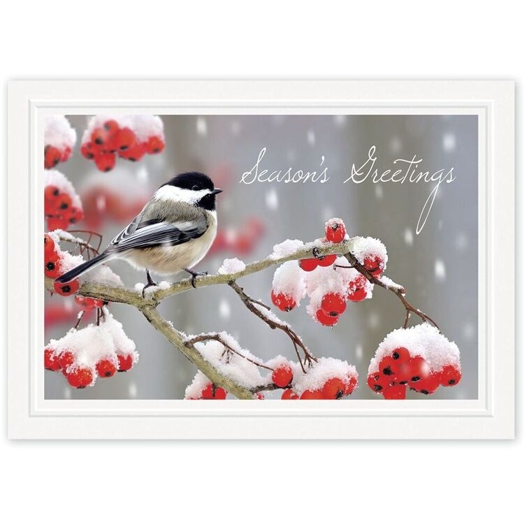 Custom Printed Holiday Cards with Black and White Bird on Berry Branch