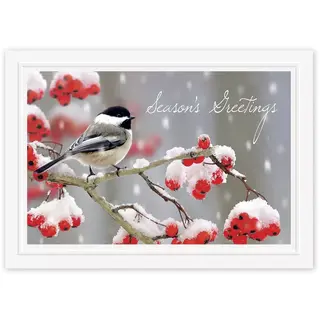 Custom Printed Holiday Cards with Black and White Bird on Berry Branch