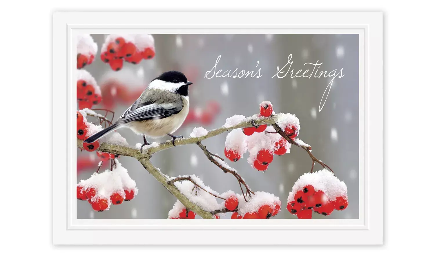 Custom Printed Holiday Cards with Black and White Bird on Berry Branch