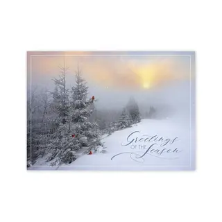 Custom business greeting cards with sunrise above snowy forest