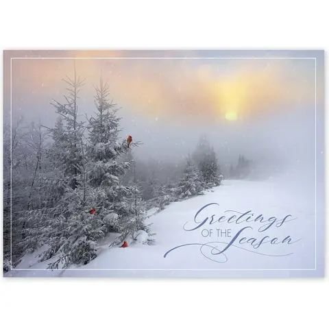 Custom business greeting cards with sunrise above snowy forest