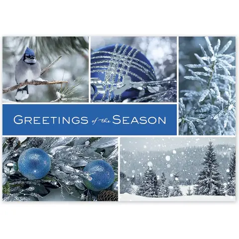 Icy Blue and Silver Wonder Business Holiday Cards
