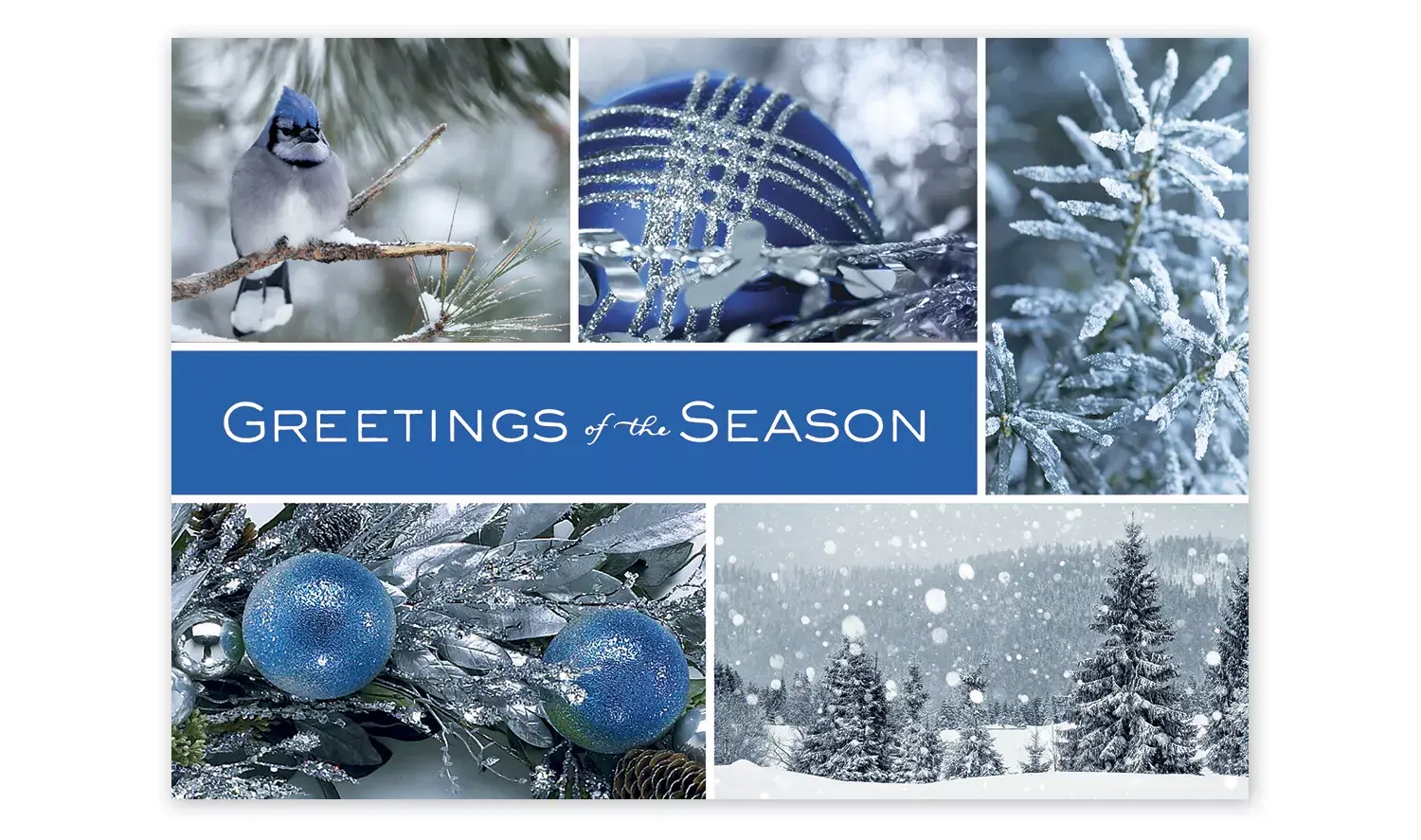 Icy Blue and Silver Wonder Business Holiday Cards
