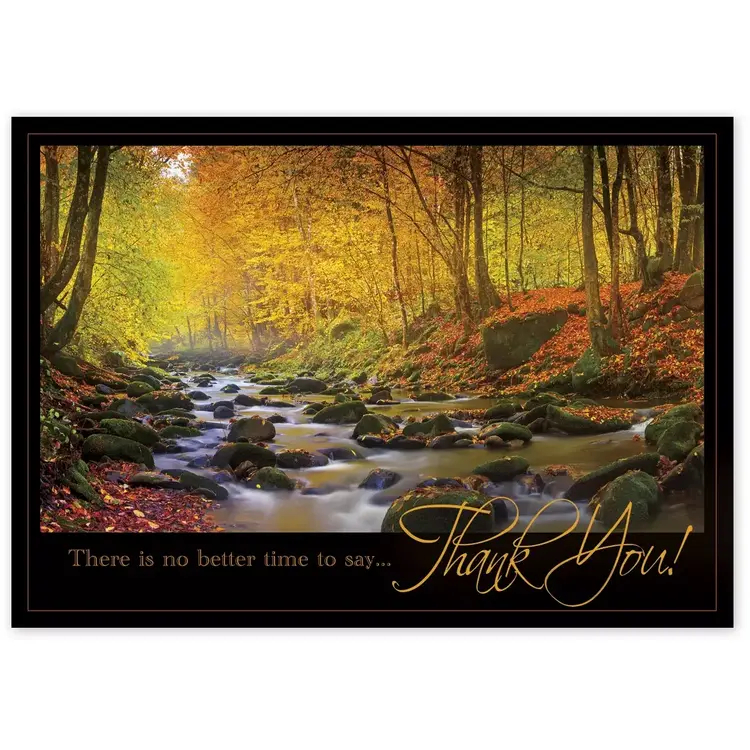 Custom Business Thanksgiving Cards - Radiant Thanks over Fall River