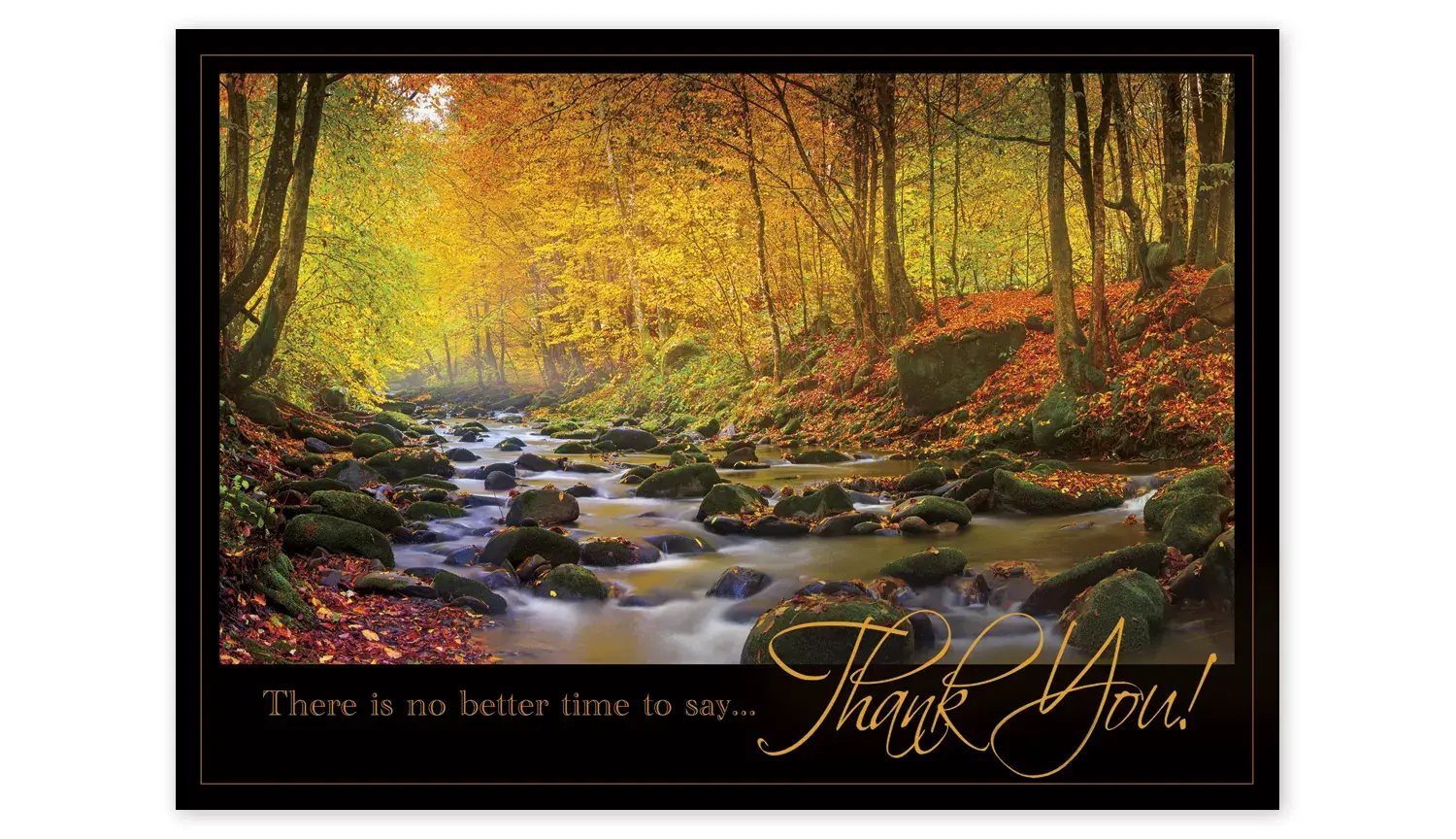Custom Business Thanksgiving Cards - Radiant Thanks over Fall River