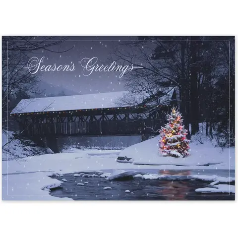 Custom Outdoor Christmas Tree Holiday Cards