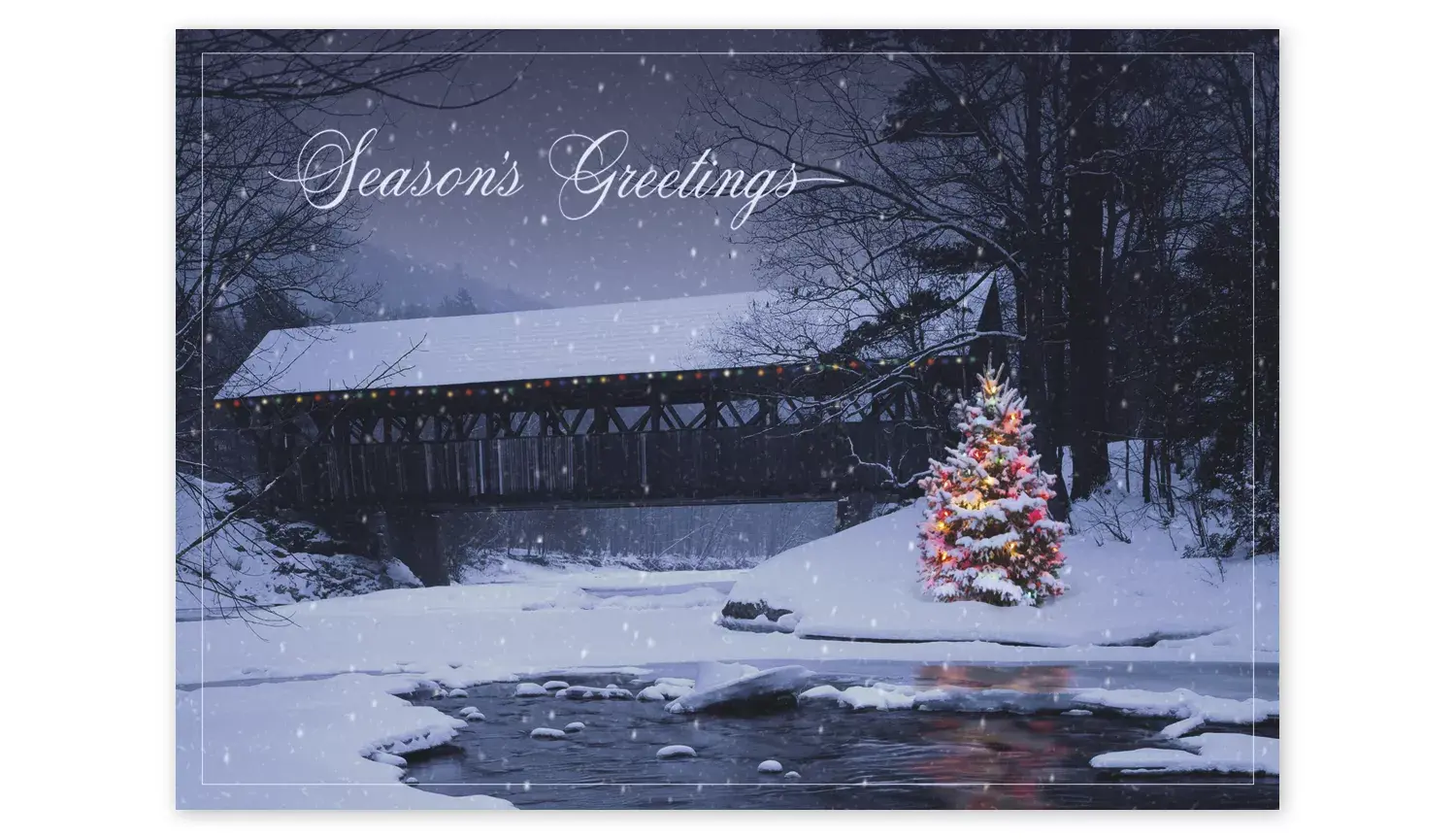 Custom Outdoor Christmas Tree Holiday Cards