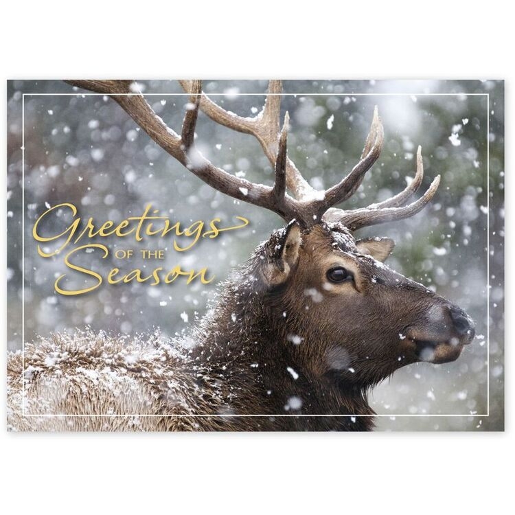 Custom Wildlife Holiday Greeting Cards - Snowfall Deer
