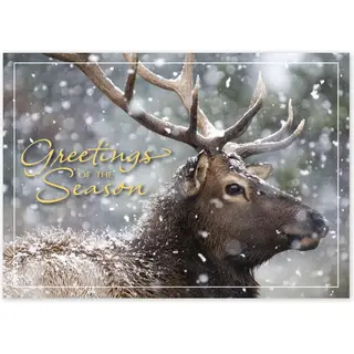Custom Wildlife Holiday Greeting Cards - Snowfall Deer