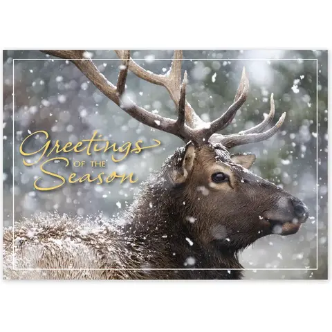 Custom Wildlife Holiday Greeting Cards - Snowfall Deer