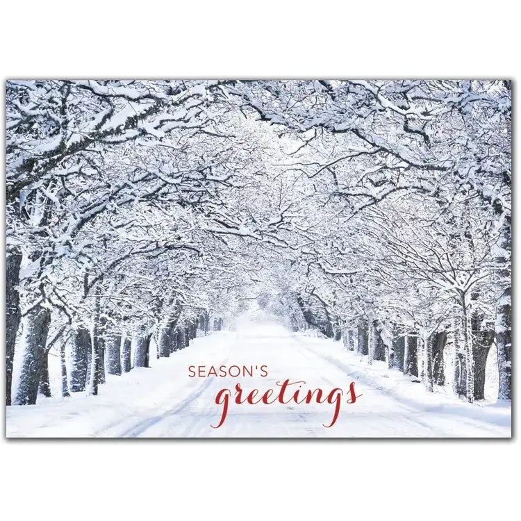 Custom Snowy Tree Lane Holiday Cards